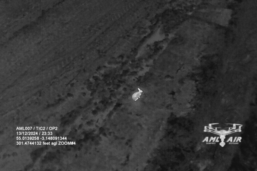 TIC view of a rabbit from 300 feet up at night